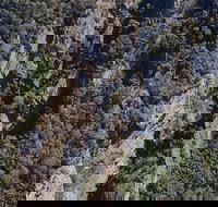 Leven Canyon Day Trip Including Wings Wildlife Park or Gunns Plains Caves - Your Accommodation