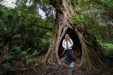 Great Ocean Road Small-Group Ecotour From Melbourne - Your Accommodation 4