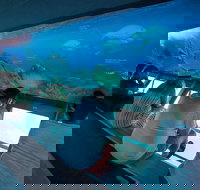 Great Barrier Reef Day Cruise to Reefworld - Your Accommodation