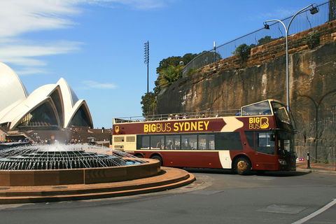 Big Bus Sydney And Bondi Hop-on Hop-off Tour - Your Accommodation 3