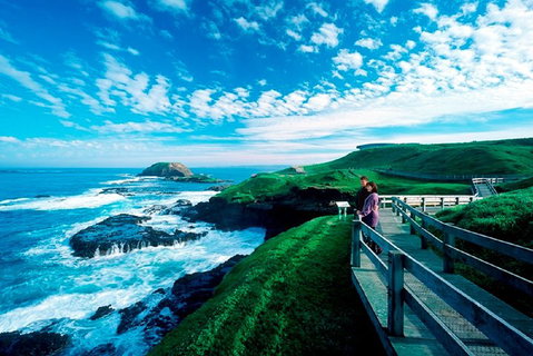 Puffing Billy, Moonlit Sanctuary & Penguins Day Tour - Your Accommodation 2