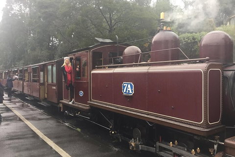 Puffing Billy, Moonlit Sanctuary & Penguins Day Tour - Your Accommodation 4