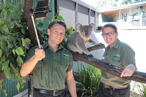 Virtual Interactive Australian Wildlife Tour With Private Guide-Wildlife Habitat - Your Accommodation 0