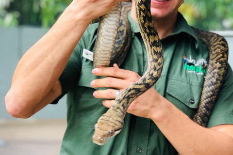 Virtual Interactive Australian Wildlife Tour With Private Guide-Wildlife Habitat - Your Accommodation 1