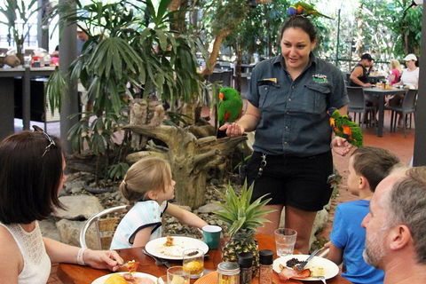 Wildlife Habitat Port Douglas - Your Accommodation 2