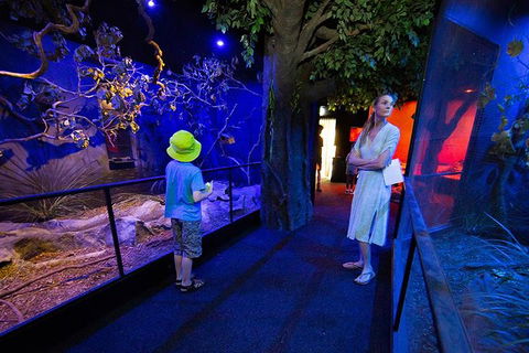 Wildlife Habitat Port Douglas - Your Accommodation 4