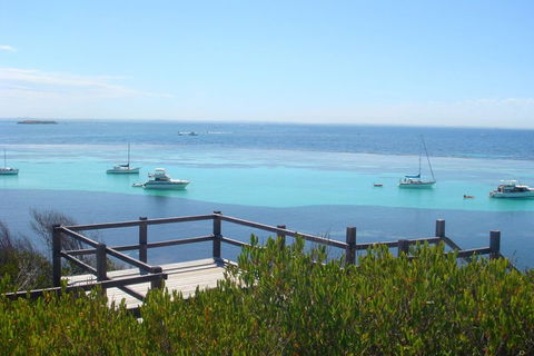 Rottnest Bayseeker Bus Tour From Hillarys Boat Harbour - Your Accommodation 3