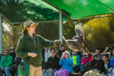 Full Day Kangaroo Island Sip And See Tour Departing From Kangaroo Island - Your Accommodation 1