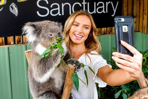 Moonlit Sanctuary Wildlife Conservation Park Daytime General Entry Ticket - Your Accommodation 4