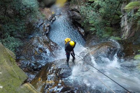 Full-Day Canyoning Experience At Stunning Empress Canyon - Your Accommodation 4