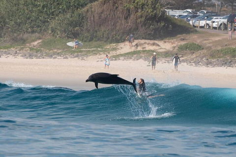 Cruise With Dolphins In Byron Bay - Your Accommodation 3