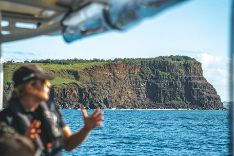 Cruise With Dolphins In Byron Bay - Your Accommodation 4
