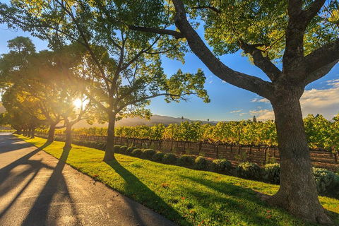 Very Best Of Perth Tour - Wildlife Park & City Highlights Tour - Your Accommodation 2