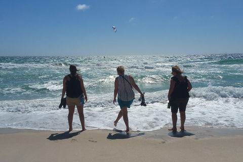 Very Best Of Perth Tour - Wildlife Park & City Highlights Tour - Your Accommodation 5