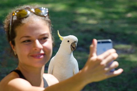 Melbourne To Adelaide South East Coast 3 Day Overland Tour - Your Accommodation 3