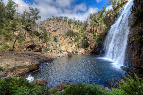 Melbourne To Adelaide South East Coast 3 Day Overland Tour - Your Accommodation 4