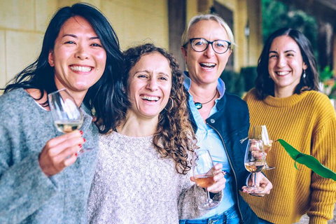 Sip N Savour: Southern Highlands Premium Wine Tour From Sydney - Your Accommodation 1