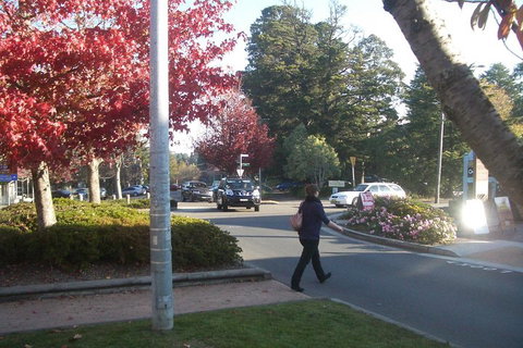 PRIVATE All-Day Blue Mountains Tour With Professional Guide For Up To 4 People - Your Accommodation 1