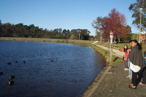 PRIVATE All-Day Blue Mountains Tour With Professional Guide For Up To 4 People - Your Accommodation 2