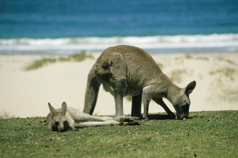 Great Ocean Road Highlights Tour - 2 Days, 1 Night - Your Accommodation 2