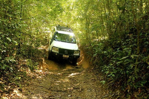 Barron Gorge And Kuranda National Park Half Day Rainforest And Waterfall 4WD Tour From Cairns - Your Accommodation 2