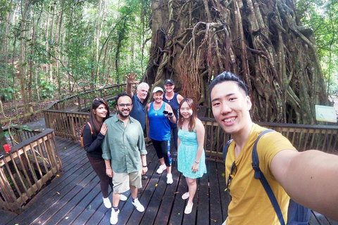Barron Gorge And Kuranda National Park Half Day Rainforest And Waterfall 4WD Tour From Cairns - Your Accommodation 5