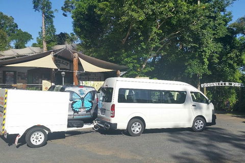 Airport Transfer To Or From Cairns Hotels For Up To 13 People - Your Accommodation 4