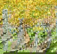 Margaret River Indulge and Discover Day Tour - Your Accommodation