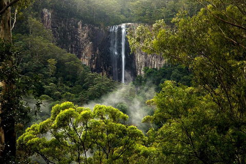 Hinterland Magic & Glow-worm Experience - Your Accommodation 4