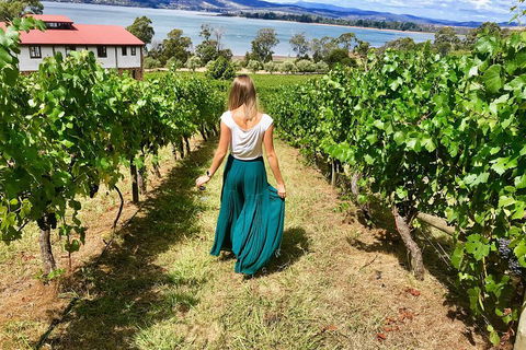 Tamar Valley Wine Tour With Lunch - Your Accommodation 2