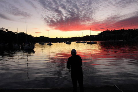 Sydney Harbour, Northern Beaches And National Park - Your Accommodation 1