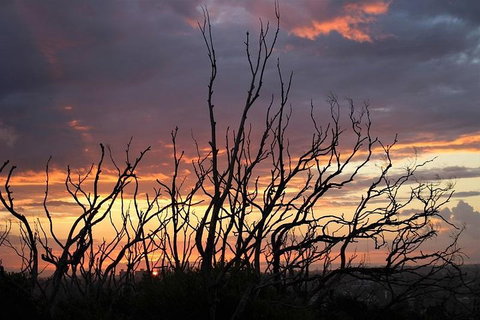 Sydney Harbour, Northern Beaches And National Park - Your Accommodation 4