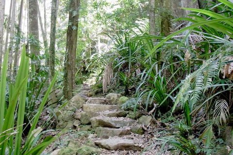 Byron Bay Combo: Minyon Falls And Hinterland Day Trip And Learn To Surf At Byron Bay - Your Accommodation 3