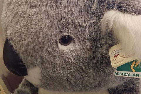 Ballarat Gold Fields Tour - Your Accommodation 5