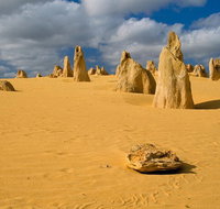 The Pinnacles Sea and Dunescapes Bush Reserve and Sunset Day Tour - Your Accommodation