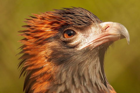 Australian Animals, Seascape And Sunset Photography Tour - Your Accommodation 4