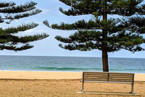 Manly & Sydney's Northern Beaches With 'Personalised Sydney Tours' - Your Accommodation 0
