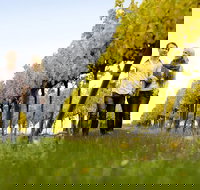 2-Day Private Daylesford  Macedon Ranges Gourmet Food Trail Tour from Melbourne - Your Accommodation