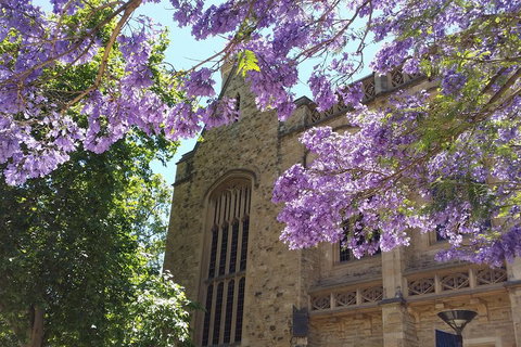Cultural Caper Adelaide Walking Tour - Your Accommodation 1