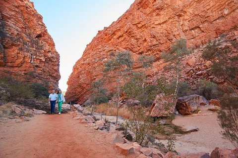 Best Of Alice Springs Full Day Tour - Your Accommodation 1
