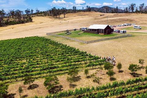 Tasmanian Wine Tour - Your Accommodation 3