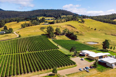 Tasmanian Wine Tour - Your Accommodation 4