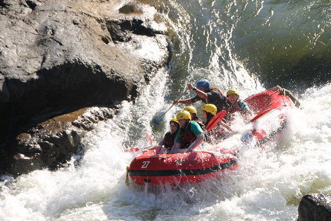 Barron Gorge National Park Half-Day White Water Rafting From Cairns Or Port Douglas - Your Accommodation 2