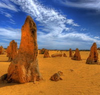 Pinnacles Desert  New Norcia Day Tour from Perth - Your Accommodation