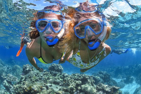 Great Barrier Reef Snorkeling And Diving Cruise From Cairns - Your Accommodation 3
