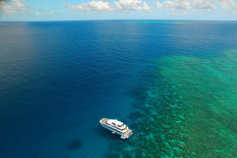 Great Barrier Reef Snorkeling And Diving Cruise From Cairns - Your Accommodation 4