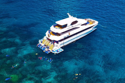 Great Barrier Reef Snorkeling And Diving Cruise From Cairns - Your Accommodation 5
