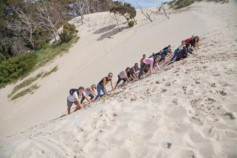 3 Day Tasmanian Wild West Coast Tour From Hobart To Launceston - Your Accommodation 2