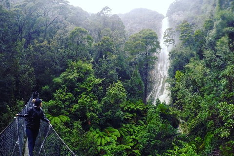 3 Day Tasmanian Wild West Coast Tour From Hobart To Launceston - Your Accommodation 4