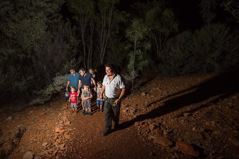 Alice Springs Desert Park Nocturnal Tour - Your Accommodation 0